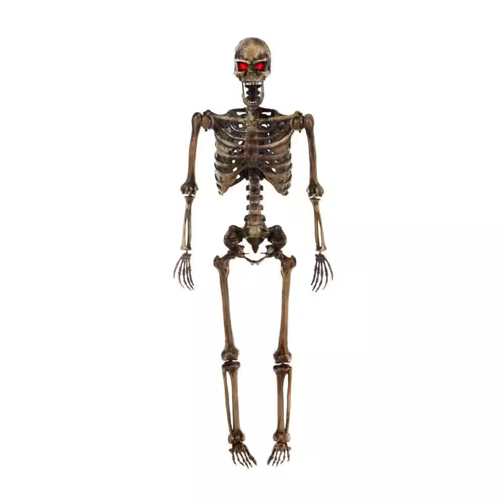 Home Accents Holiday 5‑ft LED Poseable Skeleton