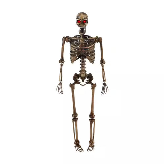 Home Accents Holiday 5‑ft LED Poseable Skeleton